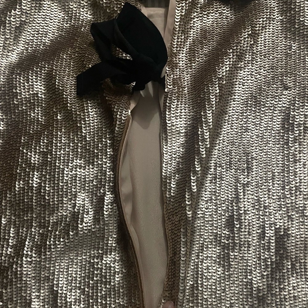 Jcrew collection sequin tops with  tow bows in the back